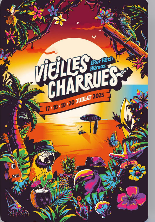 Pass Festivals Vielles Charrues - Carhaix
